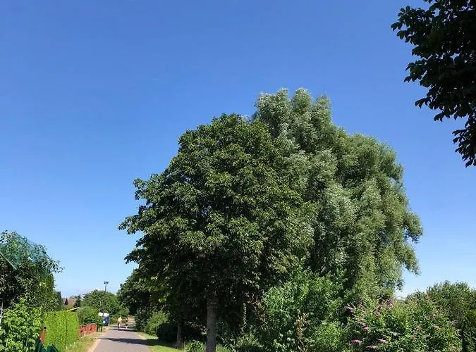 Rupnow Plau Am * Plau am See